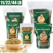 Bulk Dried Mealworms for Wild Blue Birds Hen Reptile Treats Non-GMO 11 44LBS LOT