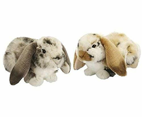 living nature rabbit