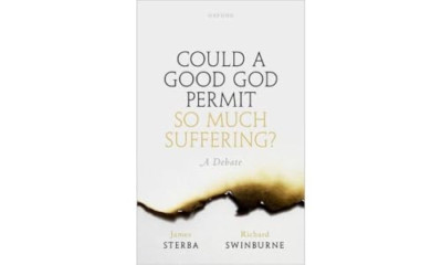 Could a Good God Permit So Much Suffering?: A Debate - Paperback NEW James 18/07