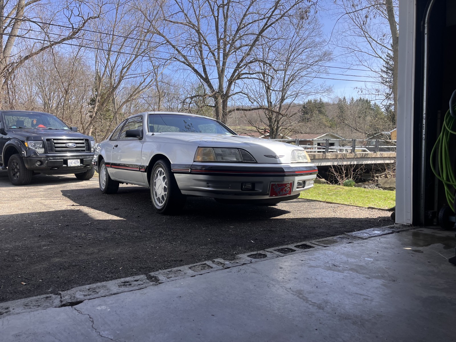 1988 Ford Thunderbird for sale in Randolph New York