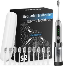 Adult Sonic Electric Toothbrush with 10 Brush Heads, Travel case, and Silvery