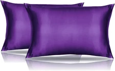 2 Pack Silk Satin Toddler Pillowcases 14x20 Inch Cushion Covers for Nursery Kids