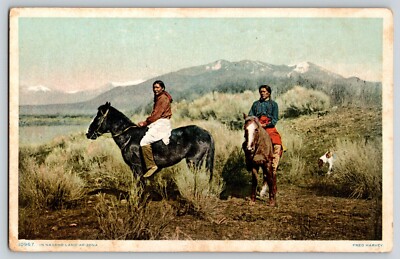 Postcard Phostint - Navajo Land Arizona - Native American Indians on Horses Dog