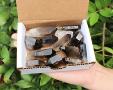 1/2 lb (8 oz) Smoky Quartz Crystal Points, Box Lot (0.75" - 2", Smokey Quartz)