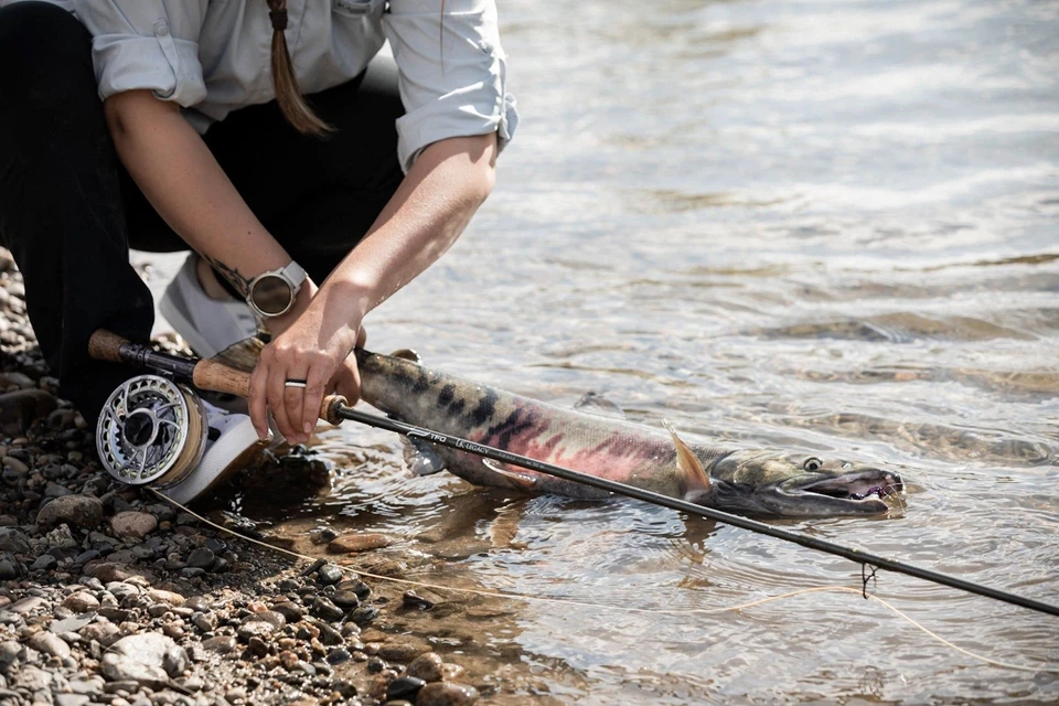 TFO LK Legacy 6wt 9'6" Fly Rod - Lifetime Warranty - FREE SHIPPING - Image 4 of 4