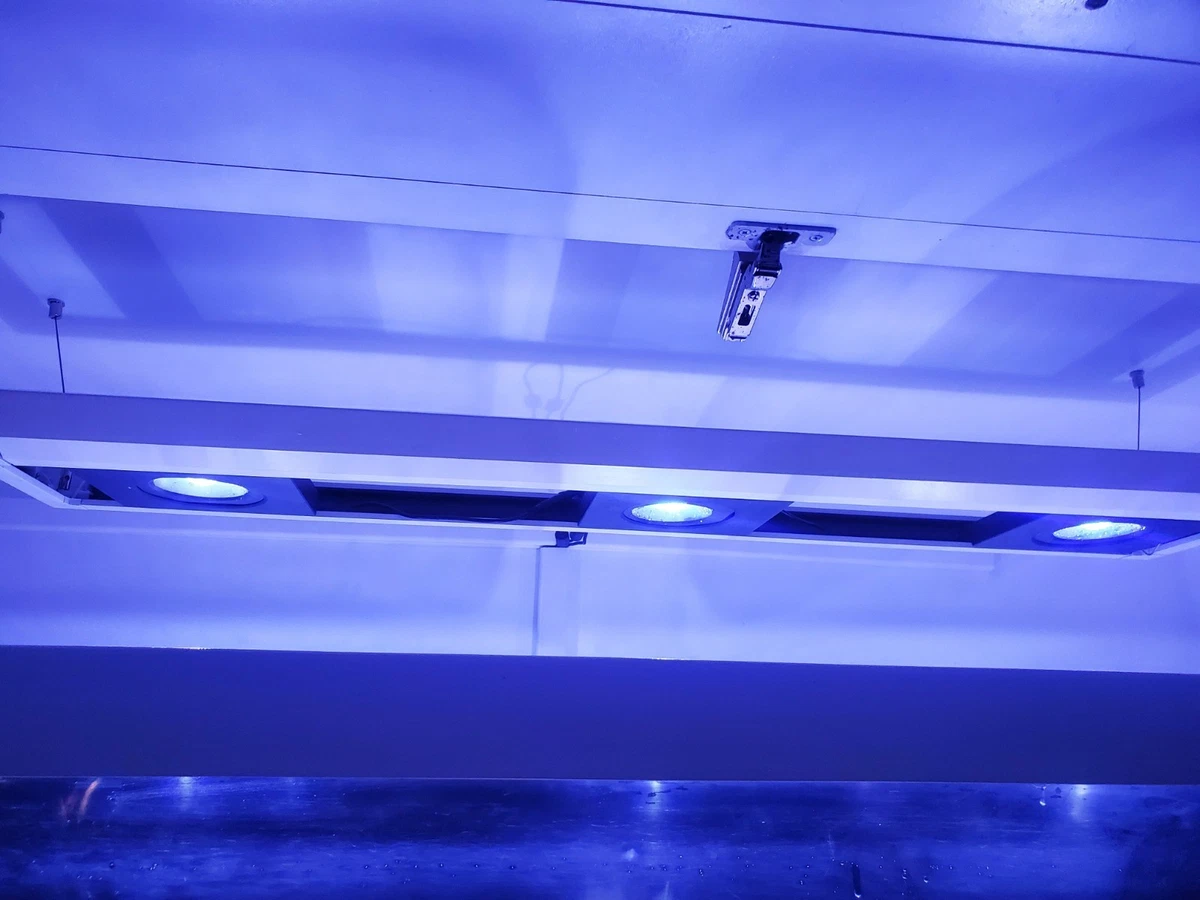 Red Sea Aquarium Lighting and Bulbs for sale | eBay