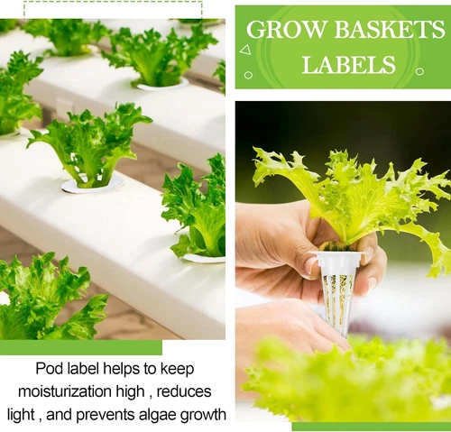 121x Hydroponic Garden Seed Pods Grow Anything Kit with Accessories Sponge Dome - Picture 5 of 11