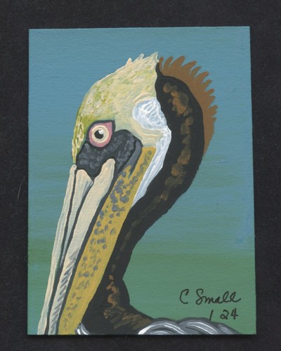 ACEO ATC Pintura Original Pelícano Vida Silvestre Pájaro Art-C. Smale - Imagen 2 de 2