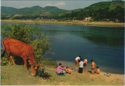 CPM AK VIETNAM Que Huong - Le Fleuve de Mon Village (1068973)