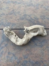 Natural Driftwood for Plants Terrarium Taxidermy Art Projects