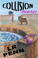 Collision Course Lr Penn Taschenbuch Kartoniert / Broschiert Englisch 2012