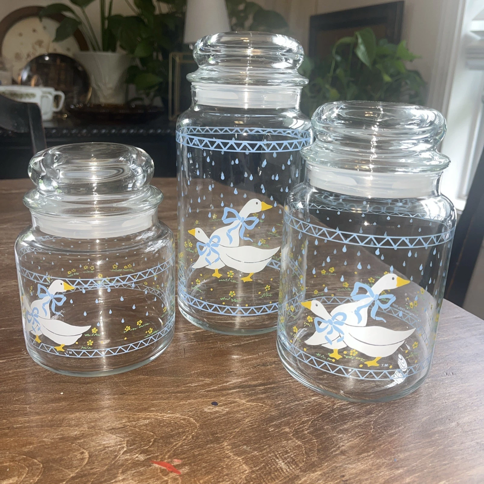Vtg Blue Ribbon Country Goose Glass Jars 1987 Set 3 Anchor Hocking Canister Gran
Opens in a new wind