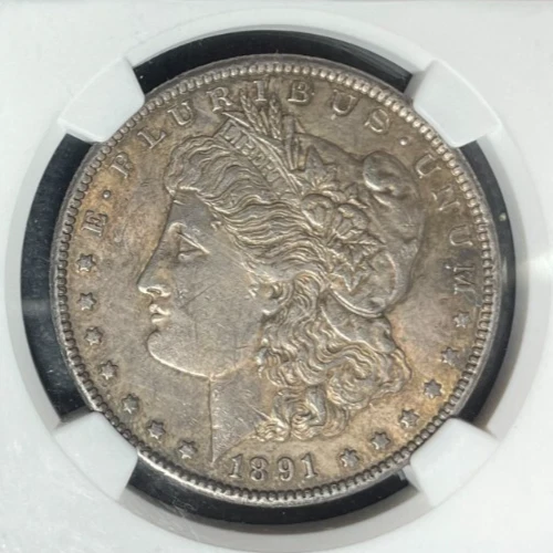 1891-CC MORGAN SILVER DOLLAR~NGC AU 53 VAM 3 SPITTING EAGLE TOP 100 ~NICE COIN~