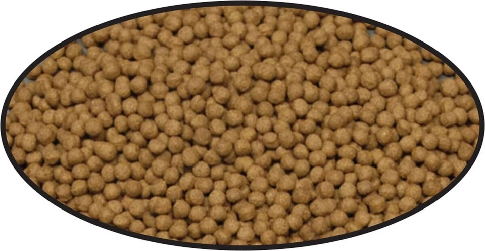 COBALTO ACUÁTICO PREMIUM CAMARÓN HUNDIMIENTO PELLETS PECES BAGRE ALIMENTO 7,8 OZ Foto 3 de 4