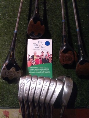 PowerBilt Ladies Full Set Driver 3-5-7 Woods Set 3-SW Irons Steel Shafts 