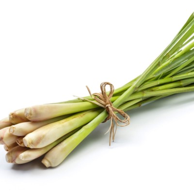 Frisches Zitronengras Bigpack 1KG Thailand Lemongras Sereh Lemongrass frisch
