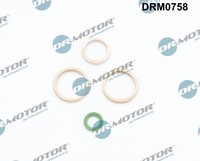 1X Dr.Motor Automotive DRM0758 Dichtung ÖLeinlass (Lader) FüR Renault