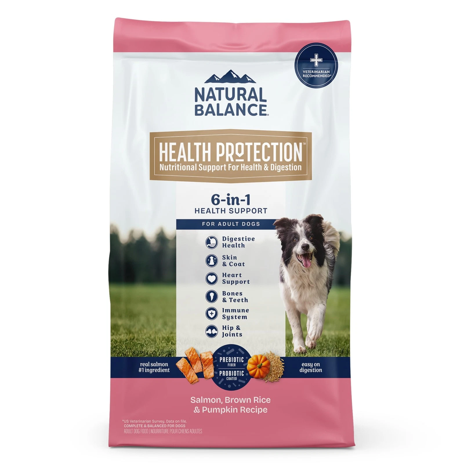 Natural Balance 22 Pound Salmon Brown Rice Pumpkin Dry Dog Food For Wellness