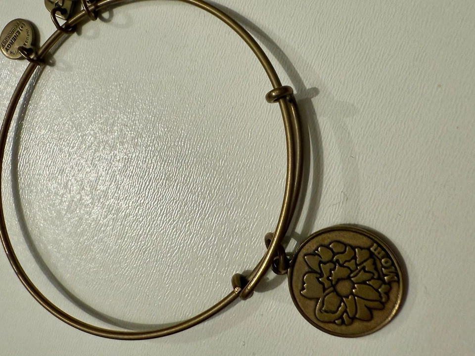 Pulseira Berloque para Mãe Alex and Ani - Imagem 3 de 4