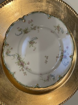 Haviland ''THE PRINCESS''  Limoges France Set Of 4 Lunch Plates 8 5/8  Near Mint