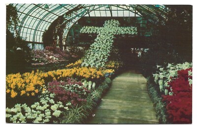 Floral Display Irwin M Krohn Conservatory Cincinnati Ohio Eden Park - Postcard