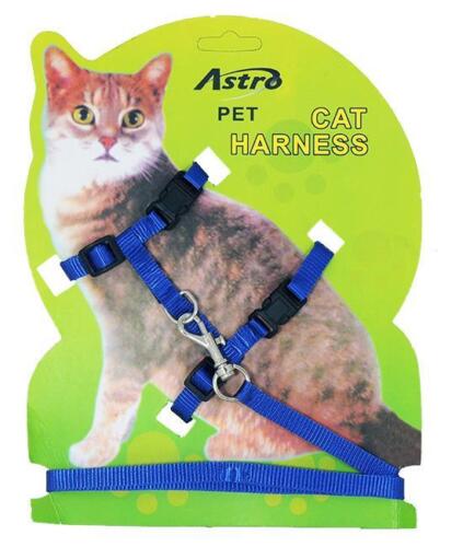 Blue Adjustable Nylon Pet Cat Harness and Leash ~ Kitten Belt Collar with lead - Picture 1 of 1