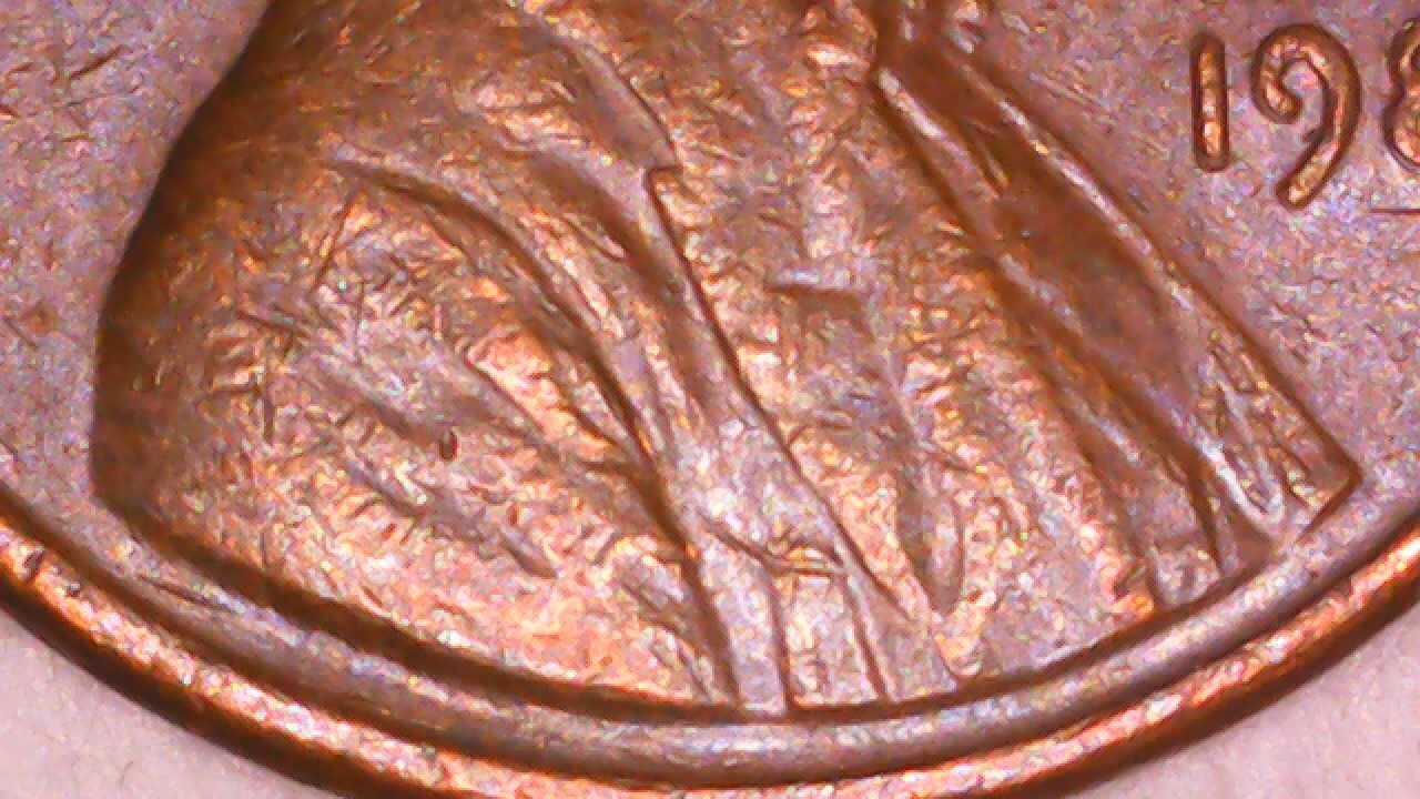 Picture 7 of 13