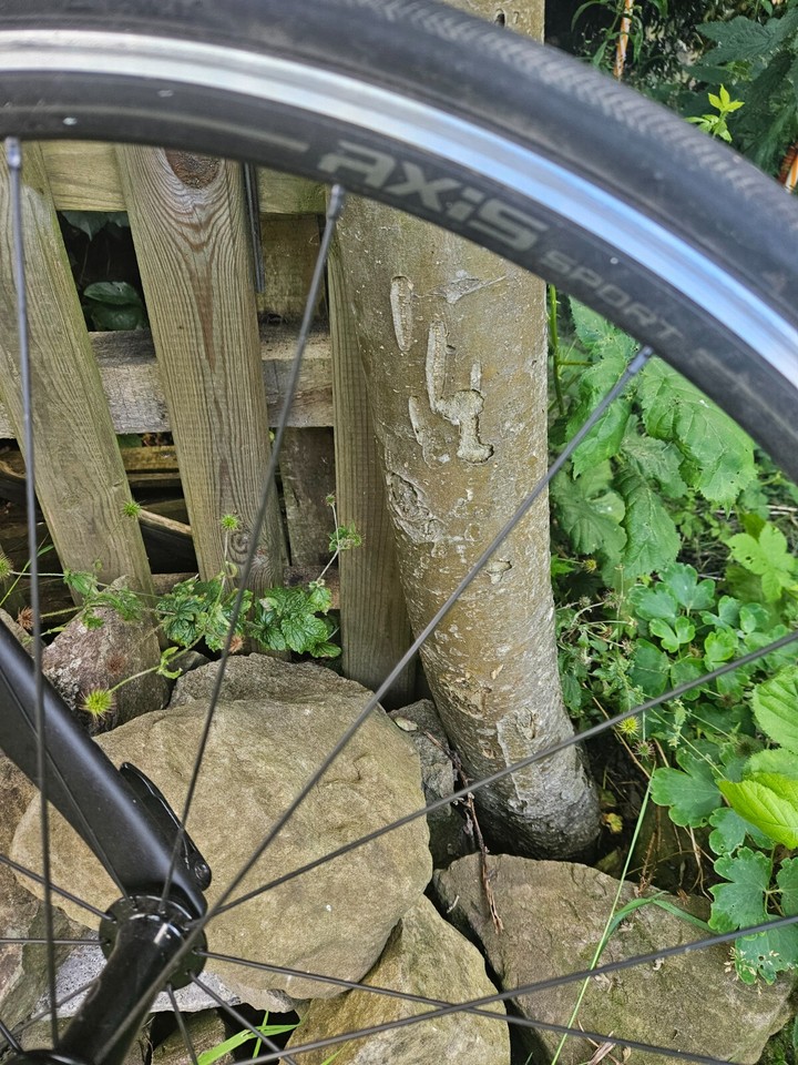 specialized allez e5 2020