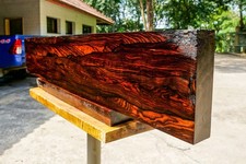 Mabolo Velvet Apple Black Exotic Wood BURL Ebony DIY Resin Table Top Block Blank