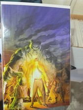 The Incredible Guide to Collecting The Hulk 47