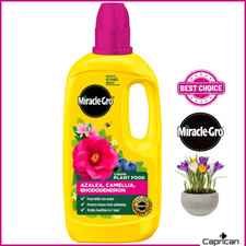 Miracle-Gro Liquid Plant Food Azalea Camellia Rhododendron 800ml Ericaceous Feed 11.24 per litre