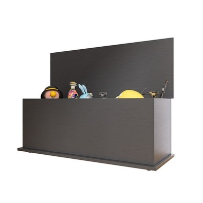 Storage Chest Trunk Lift Top Wood Box for Entryway Bench Organizer