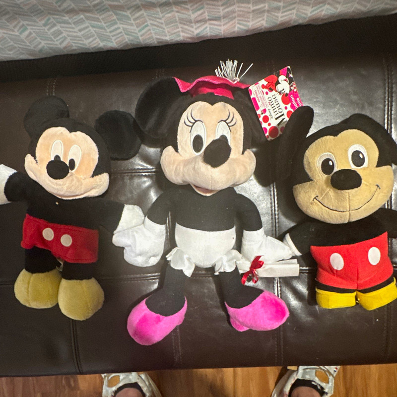 Disney Minnie Mouse Graduation Plush Toy Lot of 3 Small 6-14 in (2016)