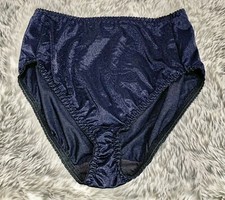 VINTAGE Vanity Fair Blue Nylon Granny Panties Sheer Shiny Panty XL Satin Sissy