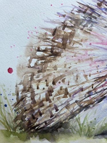 Original signed watercolour painting signed by Elle Smith Art of a Hedgehog - Picture 7 of 8