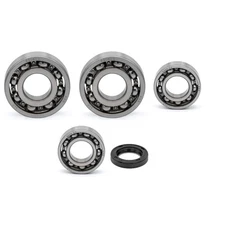 Crankshaft Bearing for Yamaha SRX250 TT250 TT350