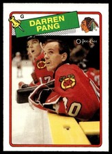1988 O-Pee-Chee Hockey Darren Pang 51 Chicago Blackhawks