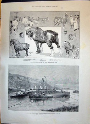 Alter Druck 1893 Auenland Pferdeshow Landwirtschaft Halle Schiff H.M.S. Howe Ferrol 19th