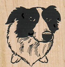 Border Collie Dog Face 2 x 2" Rubber Stamp, Animal Stamp, Dog Stamp