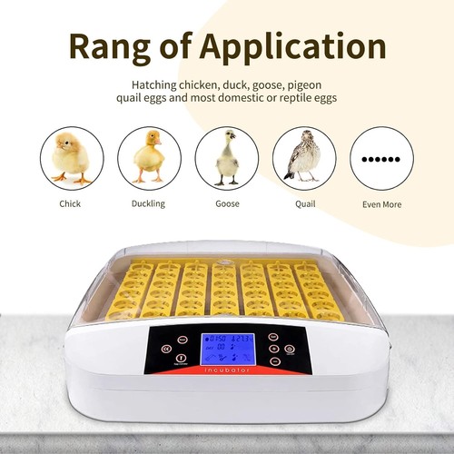 Egg Incubato 56 Eggs Fully Automatic Egg Incubator with LED Lighting Auto Turner - Picture 6 of 6