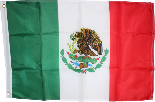 Bandiera Di Un Nuovo Messico Sventolato Sullo Stato Federale Di - Foto 9