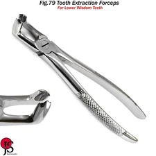 Extraction Forceps Fig. 79 Lower Wisdom Teeth Extraction Dental Surgical