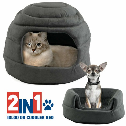 chihuahua igloo bed