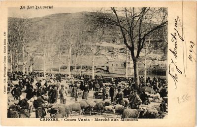 CPA AK CAHORS - Cours Vaxis - Marche aux Moutons (650825)