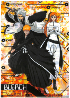 BLEACH カード　ファイル Bleach Clear File Folder A4 animetopia 1207A Hitsugaya Ichigo