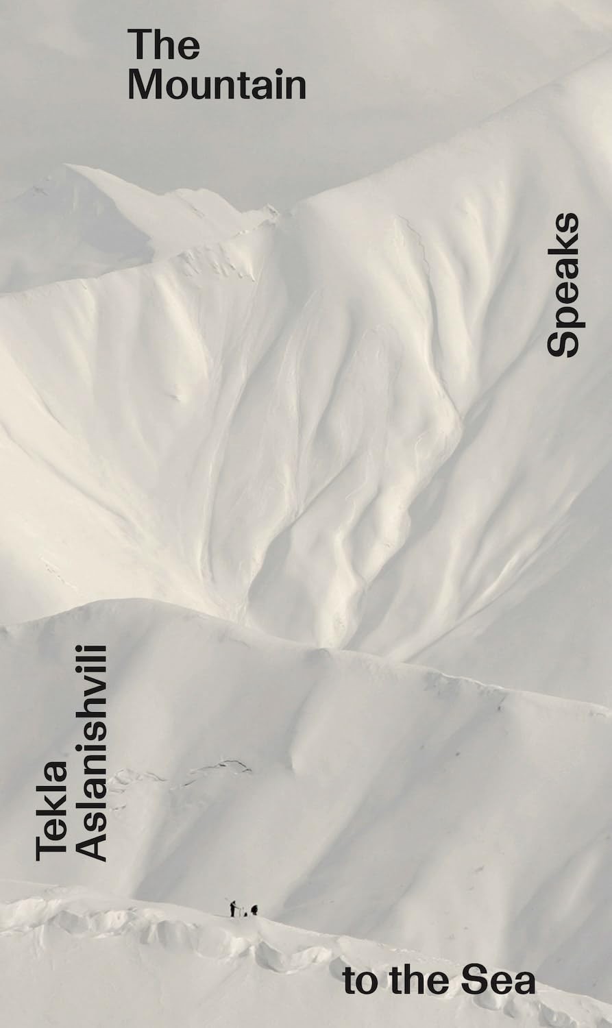 The Mountain Speaks to the Sea by Silvia Franceschini (PB 2025) - Image 4