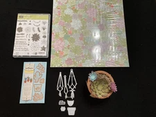 Stampin Up Oh So Succulent stamps and dies plus DSP and much more