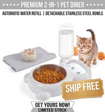 Grey Dog Cat Food and Water Bowl Set Non-Slip Pet Feeding Bowls