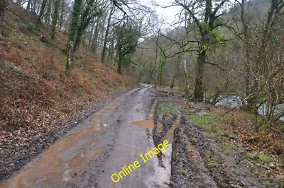 Foto 12x8 West Somerset: Lady Harriet Acland's Drive Hartford\/SS9529 Lo c2012