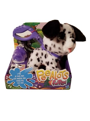 ビカクシダ Smarf x Moonlight x Nangnual spore pup P. Smurf x P. Nang Nual x P. Moonlight Sporeling Dwarf 😎😎 🔥Pup